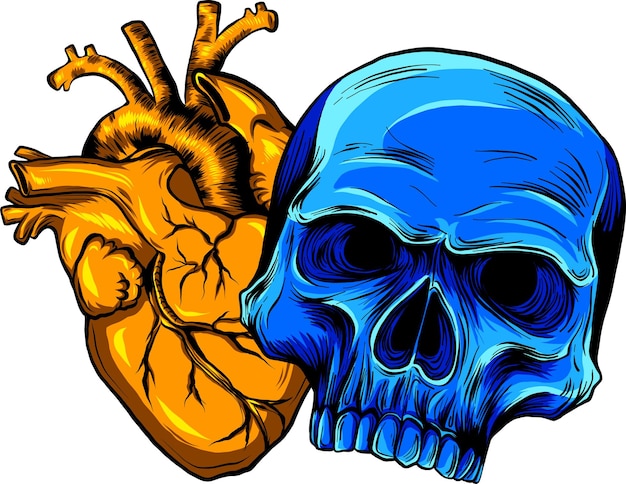 illustration of skull with heart on white background