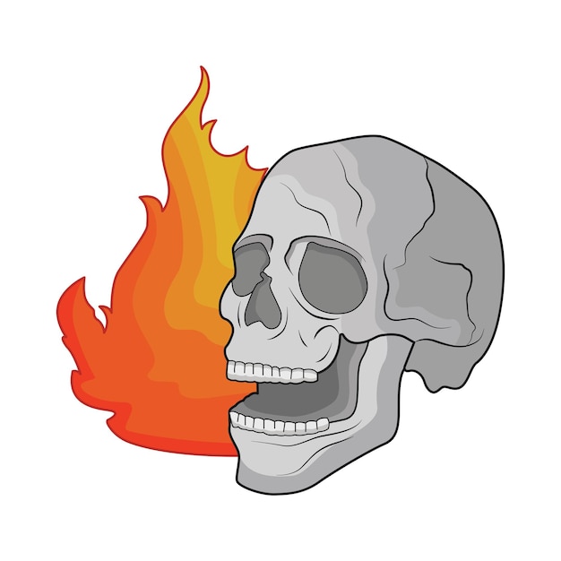 Vector illustration of skull