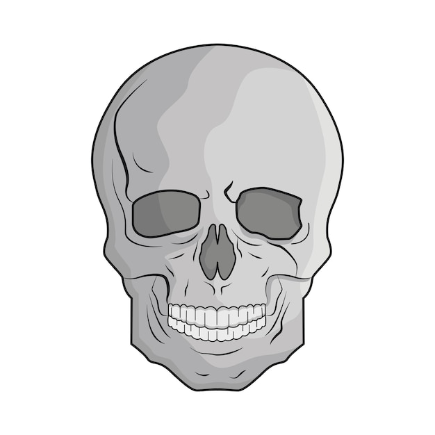 Vector illustration of skull