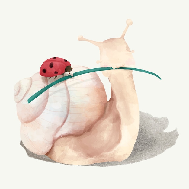 Illustration of a snail