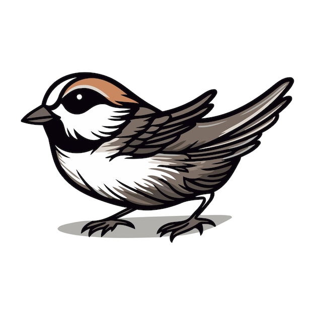 Illustration of a sparrow bird isolated on a white background