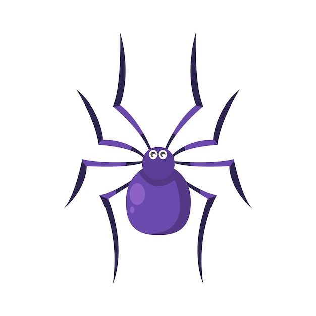 Illustration of spider