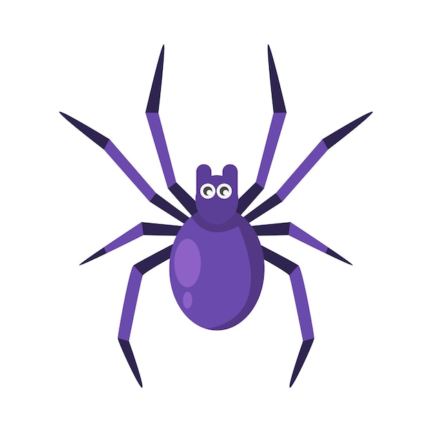 Illustration of spider