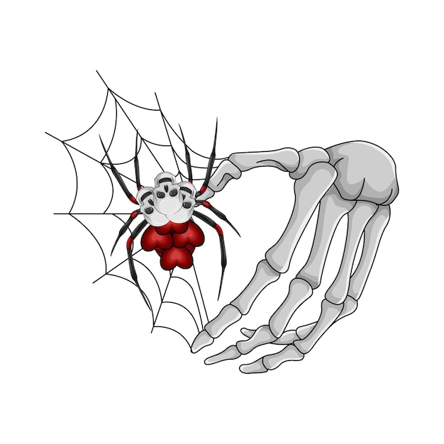 Illustration of spider