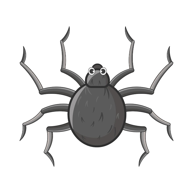 Vector illustration of spiders