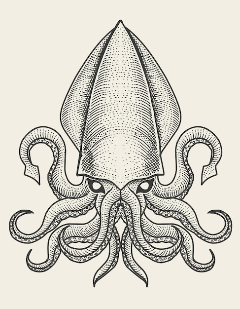 Vector illustration squid with vintage engraving style