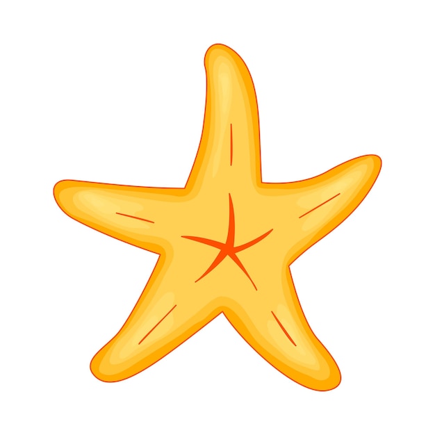 illustration - starfish. vector illustration isolated on white background.