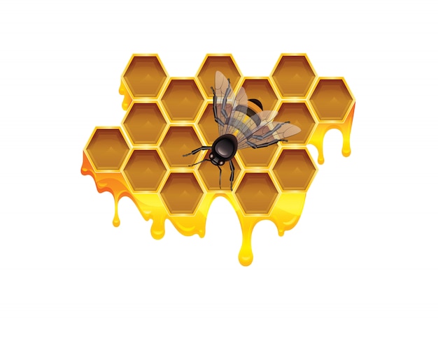 illustration of sticky amber honey with hello autumn inscription.