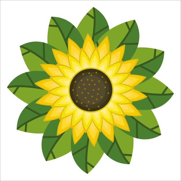 Vector illustration of sunflower