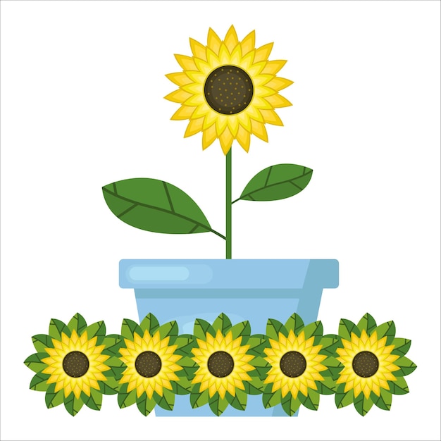 Vector illustration of sunflower