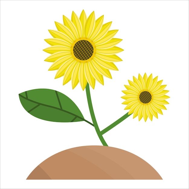 Illustration of sunflower