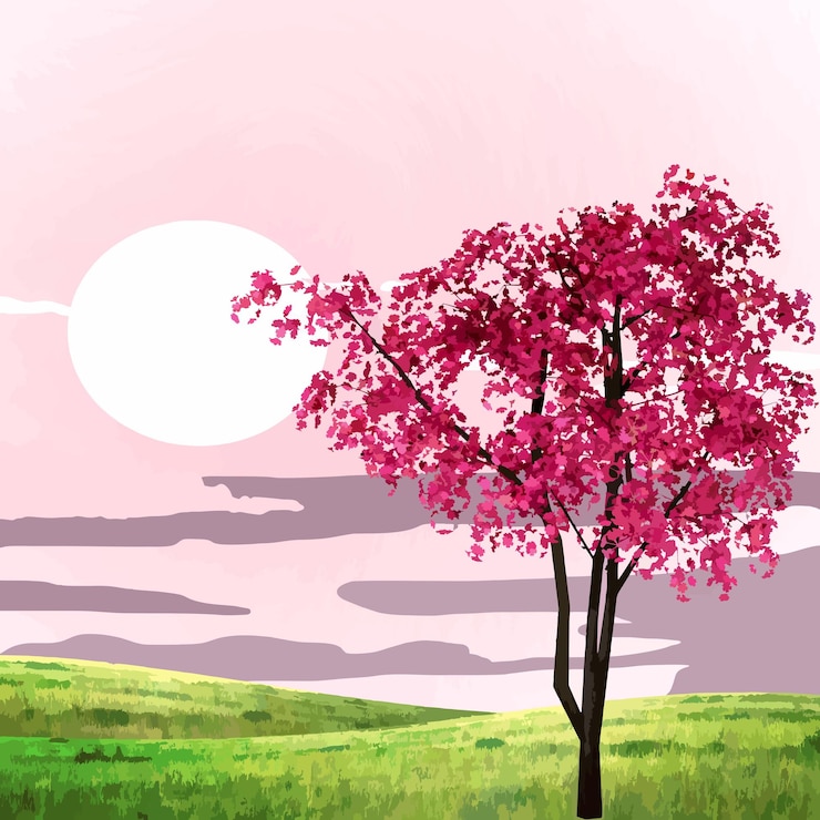 Vector illustration of sunset and cherry trees