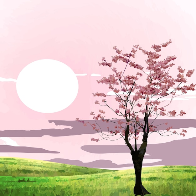 illustration of sunset and cherry trees