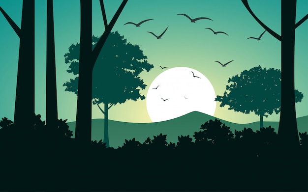 Illustrazione del tramonto nella foresta