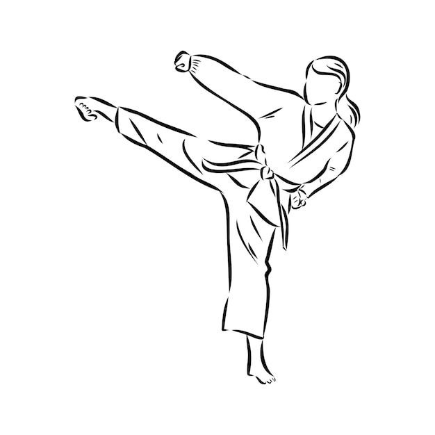 Illustration of taekwondo hand drawn taekwondo vector