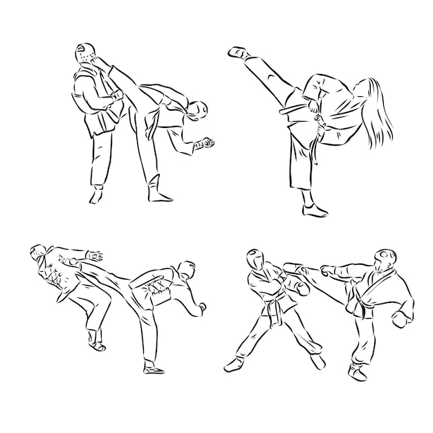 Illustration of taekwondo hand drawn taekwondo vector