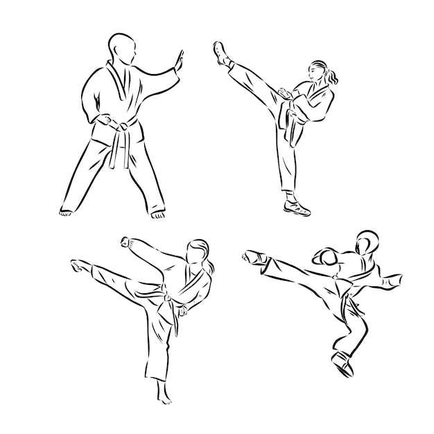 Illustration of taekwondo hand drawn taekwondo vector