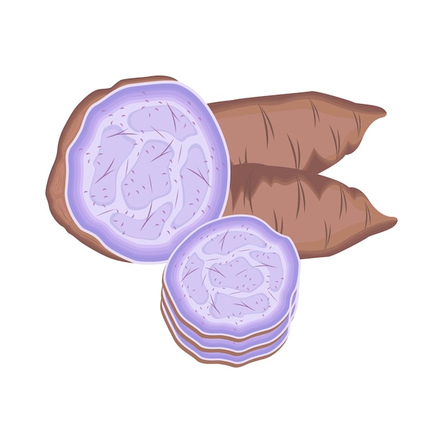 Premium Vector | Illustration of taro