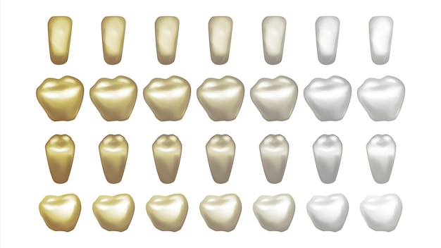 Vector illustration of teeth set