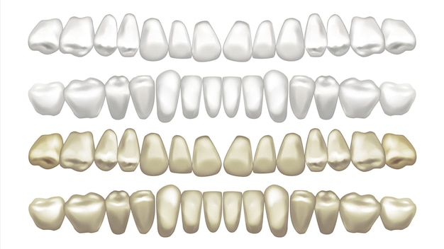 Vector illustration of teeth set