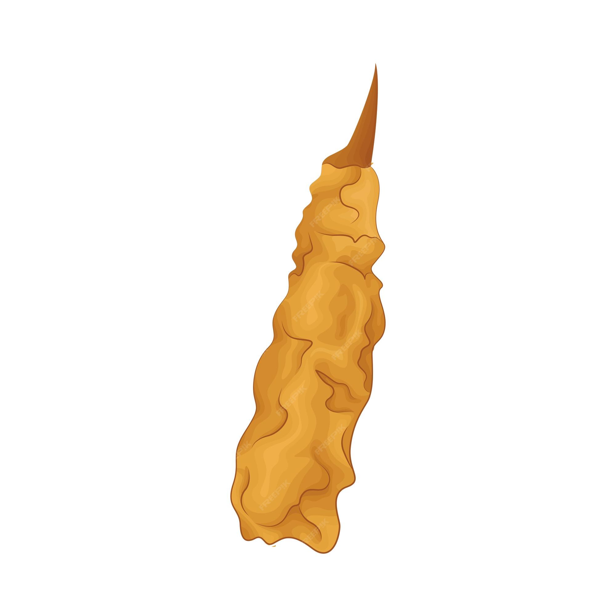 Premium Vector | Illustration of tempura