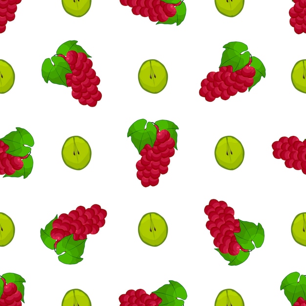 Vector illustration on theme big colored seamless grape