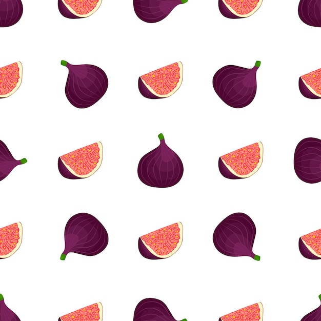 Illustration on theme big colored seamless purple fig