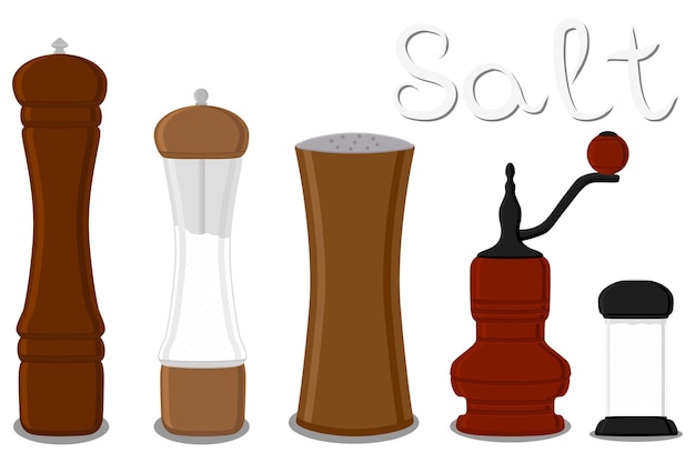 Vector illustration on theme big set different types glassware filled salt