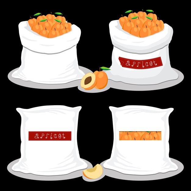 Illustration on theme big set different types round apricot