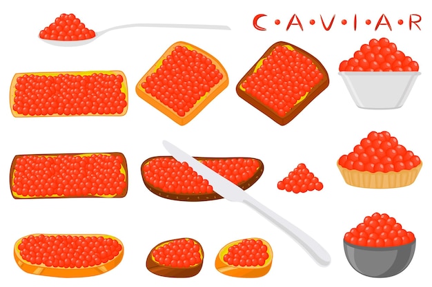 Vector illustration on theme big set various types fish caviar
