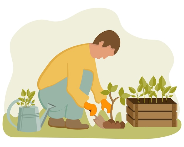 Illustration on the theme of gardening a man is planting seedlings garden tools