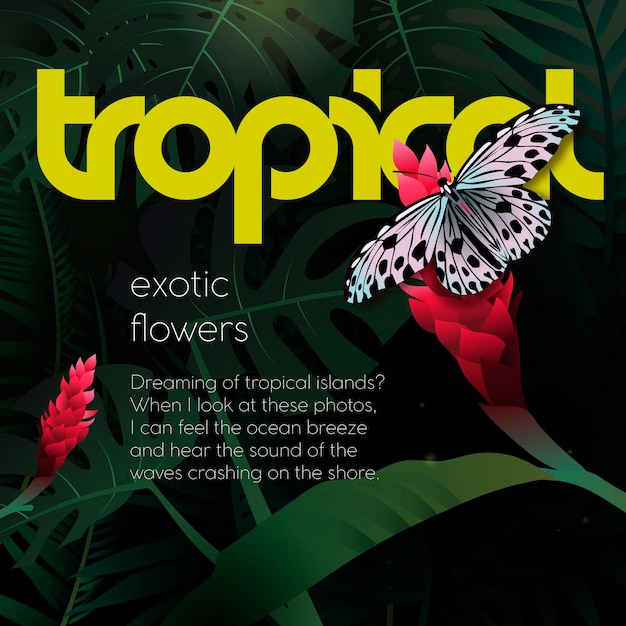 Illustration on the theme of the tropics