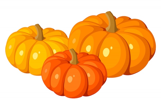 Vector   illustration of three orange pumpkins isolated