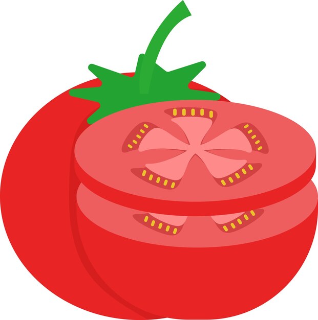 Illustration of tomato