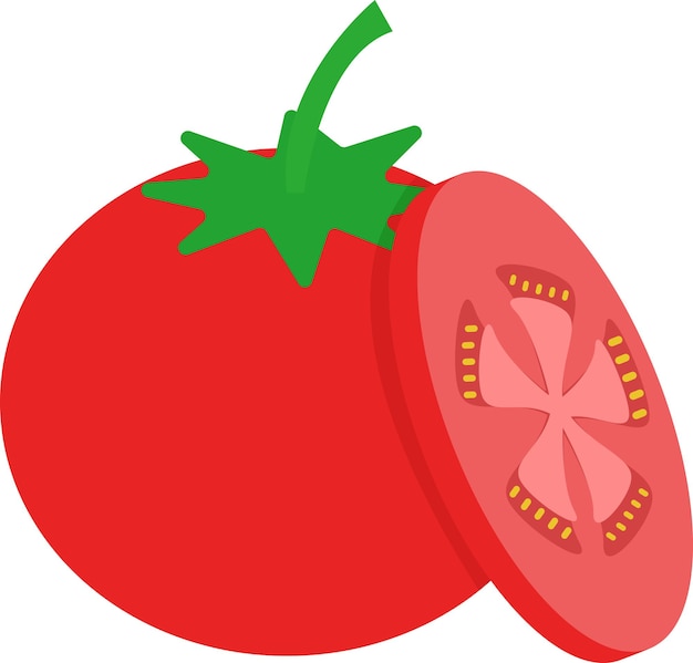 Illustration of tomato