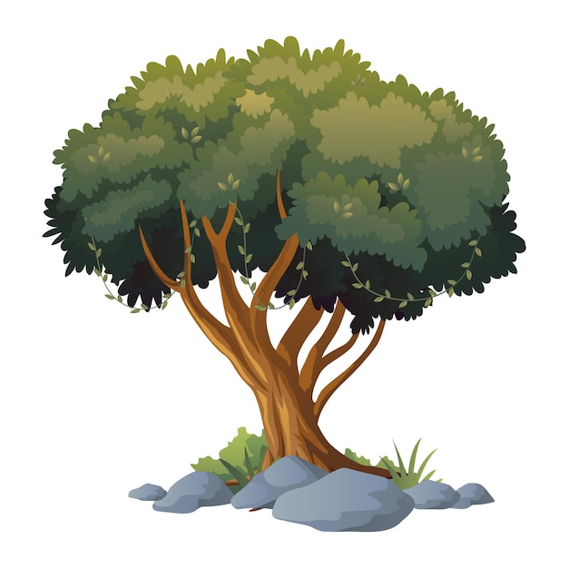 Illustration of tree vector with white background