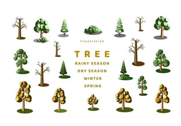 Illustration of a tree with 4 seasons