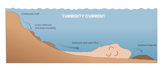 Vector illustration of turbidity current diagram