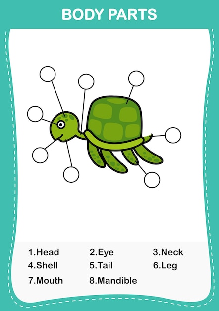 Illustration of turtle vocabulary part of bodyWrite the correct numbers of body partsvector