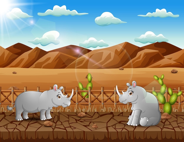 Illustration of two rhinos living in the dry land