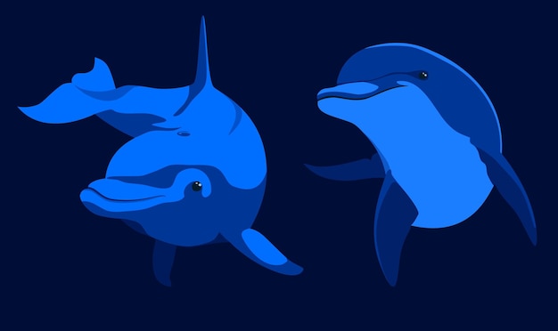 Illustration of two swimming dolphins a blue dolphin and a dolphin on a dark background