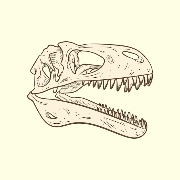 Illustration of tyrannosaur rex skull