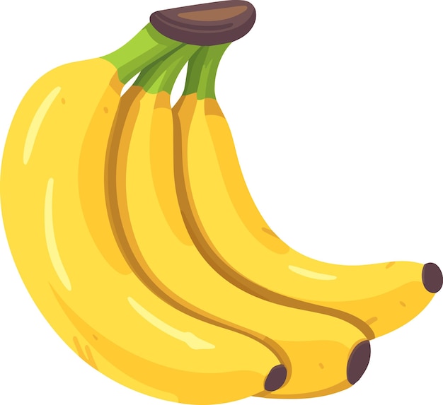 Illustration vector banana on white background