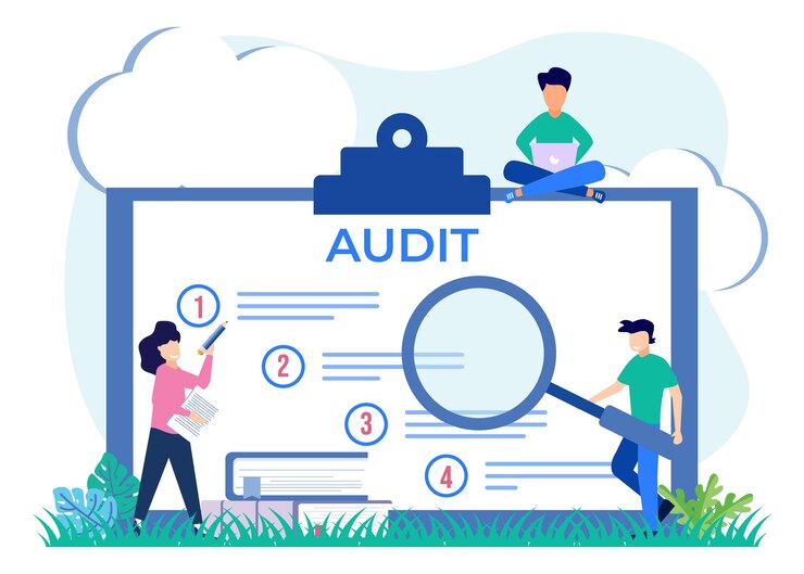 Vector illustration vector graphic cartoon character of audit