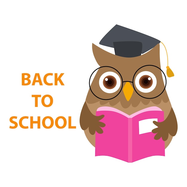 Illustration vector graphic cute owl back to school