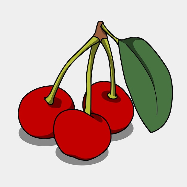 Illustration vector graphic of fruit