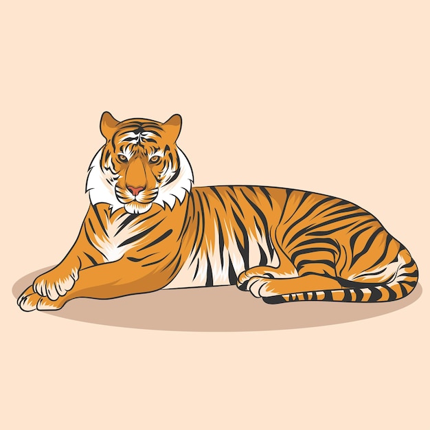 Illustrazione grafica vettoriale della tigre.