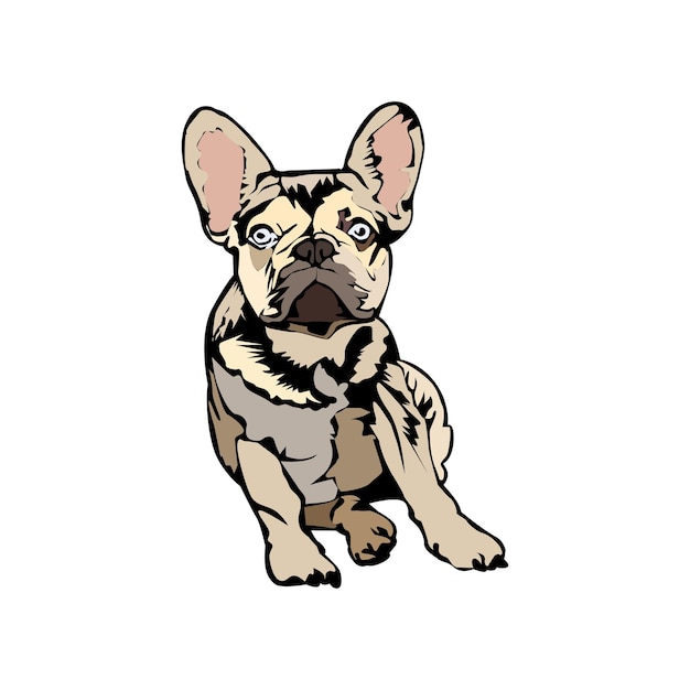 Illustration Vector graphic of young bulldog design