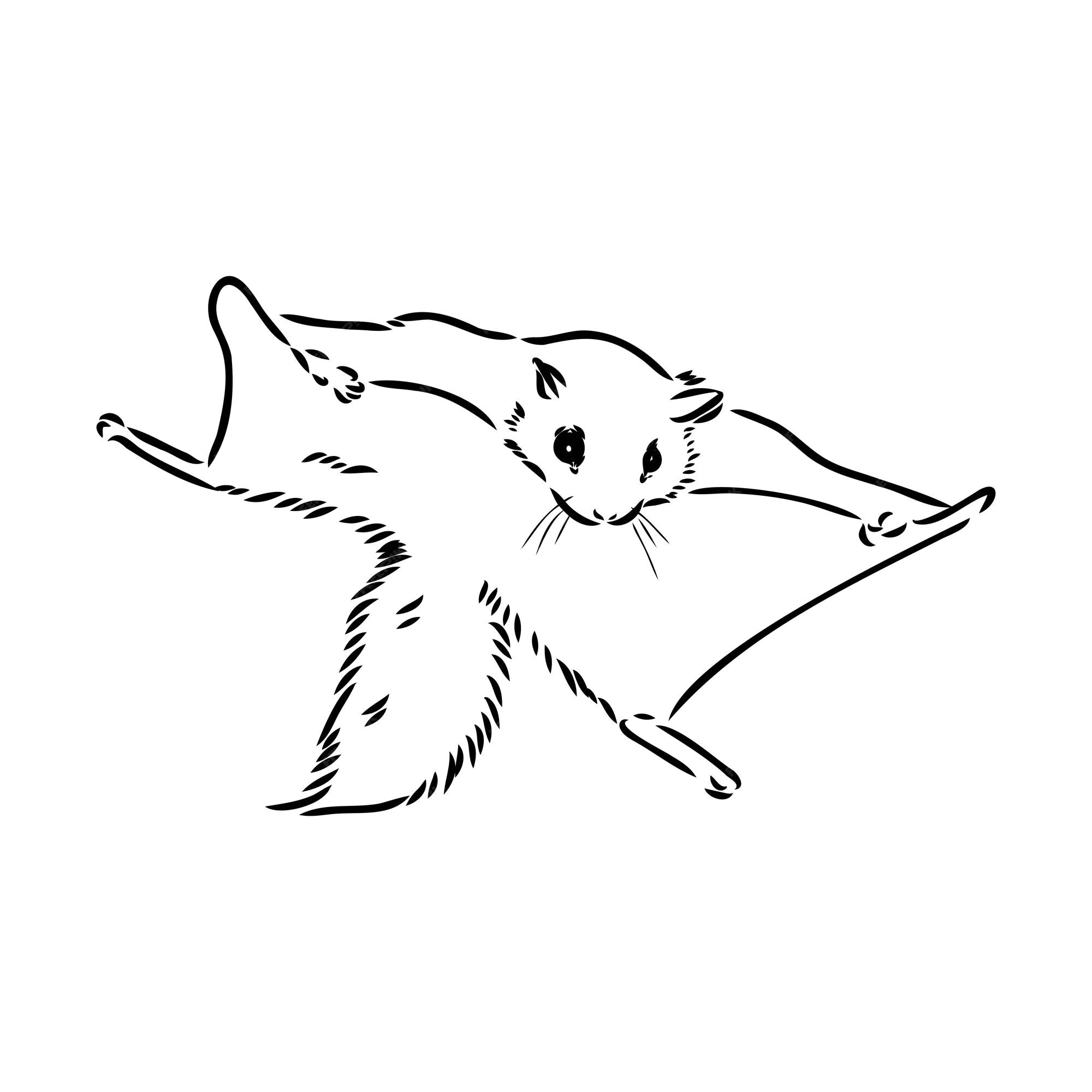 Premium Vector Illustration vector hand draw doodles of flying