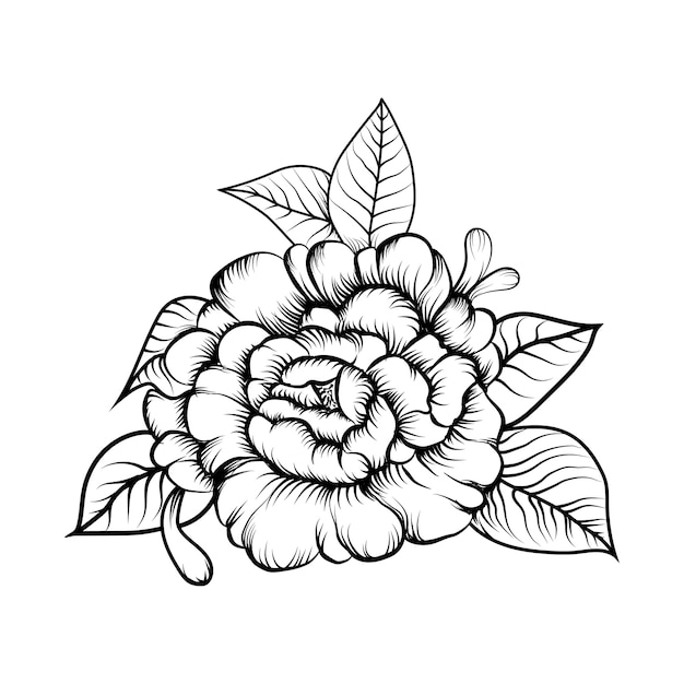 Illustration vector of sketching flower coloring book